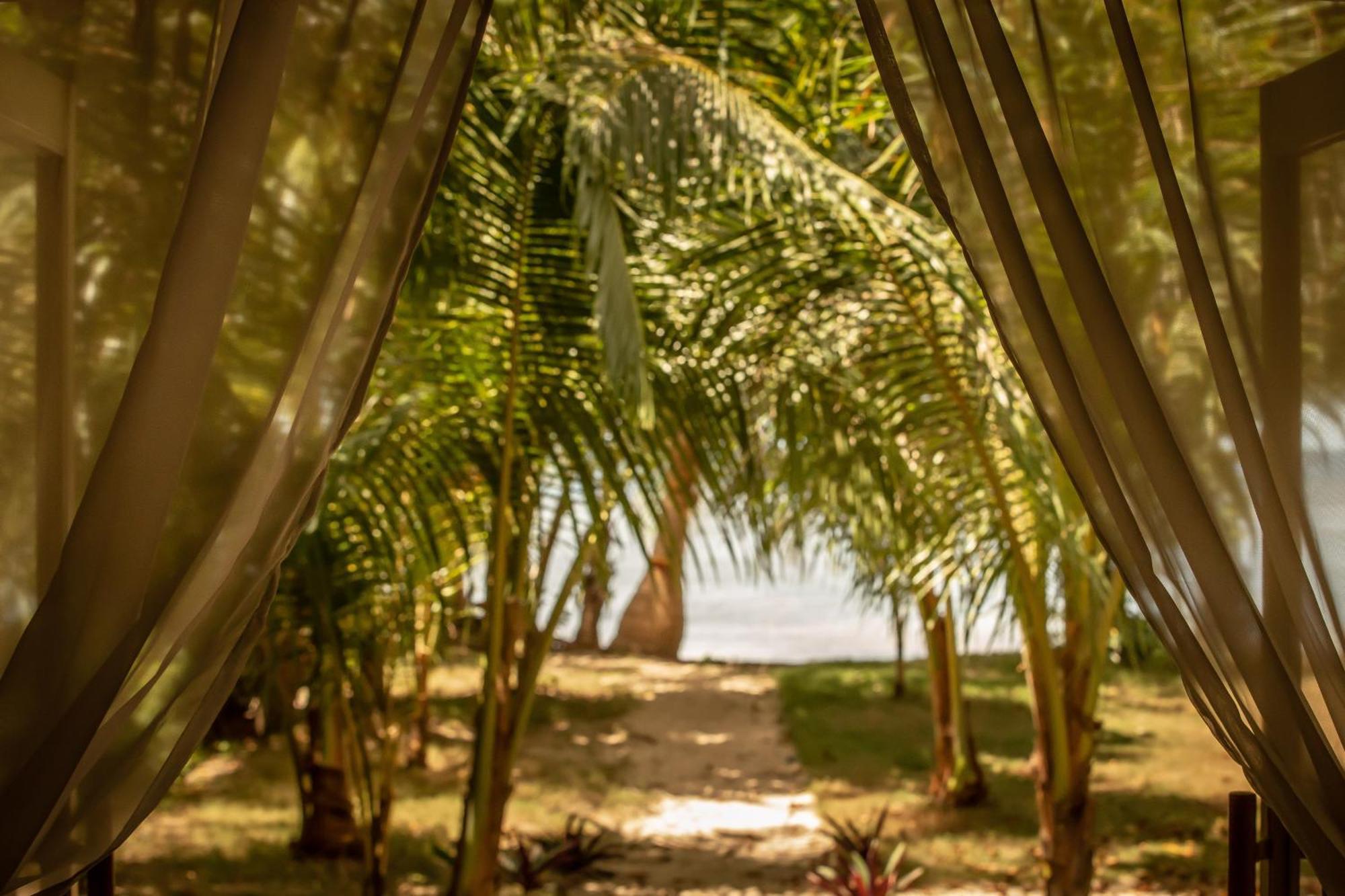 The Beach House Ocam Ocam Busuanga Εξωτερικό φωτογραφία