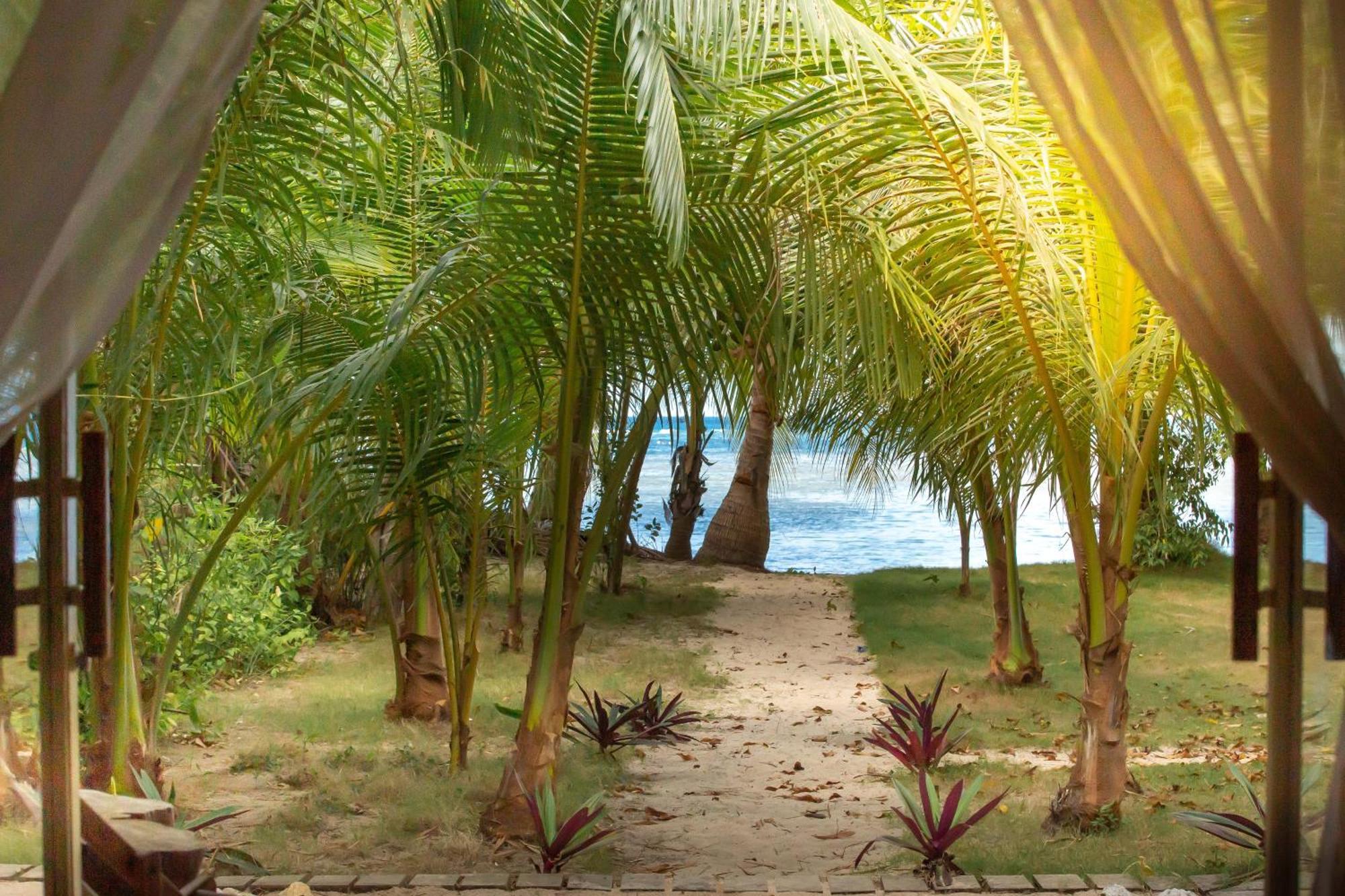 The Beach House Ocam Ocam Busuanga Εξωτερικό φωτογραφία